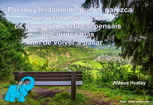Una Eneseñanza de Aldous Huxley sobre El Tiempo, en La Frase del Día del Centro de lavado de coches Elefante Azul de Avilés